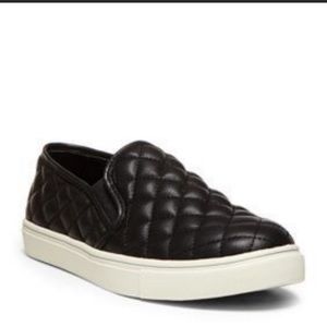 Steve Madden Ecentrcq Sneaker
